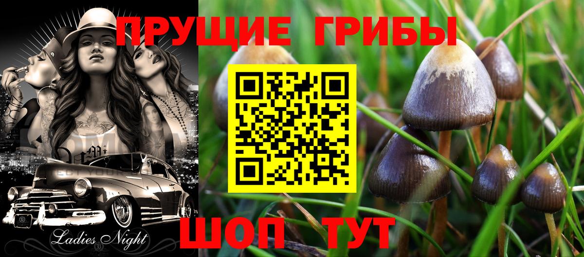 Псилоцибиновые грибы Psilocybe  Псилоцибиновые грибы Magic Shrooms  Алейск  Вход с VPN 
